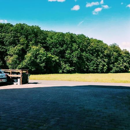 Апартаменти 76 Qm Whg Im Eg Haus-Wohlfuehloase Vor Der Haustuer Гладенбах Екстер'єр фото